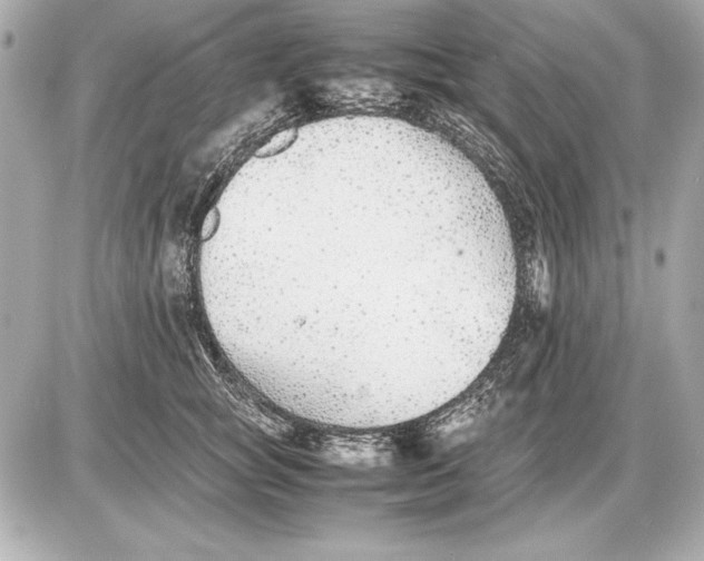 X0000085830757200704091657