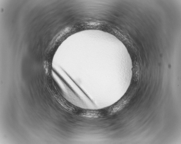 X0000085830758200704091657