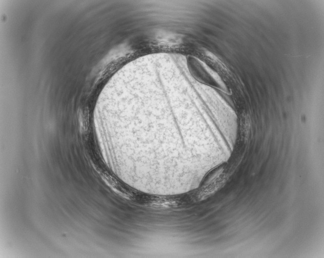 X0000085830760200704091657