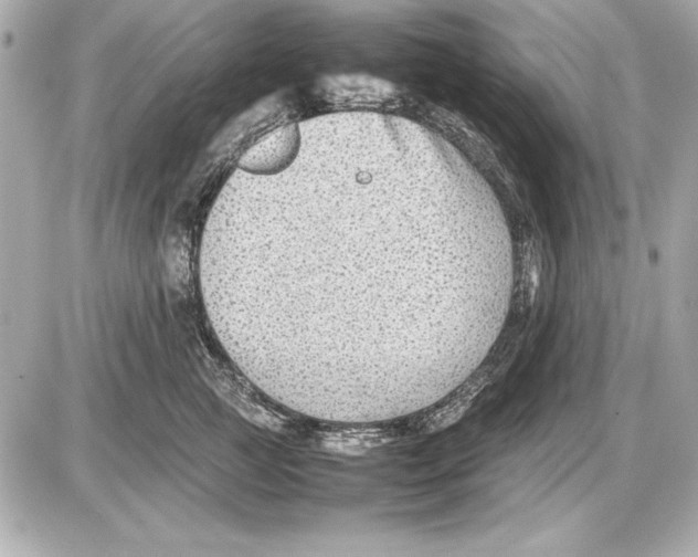 X0000085830761200704091658