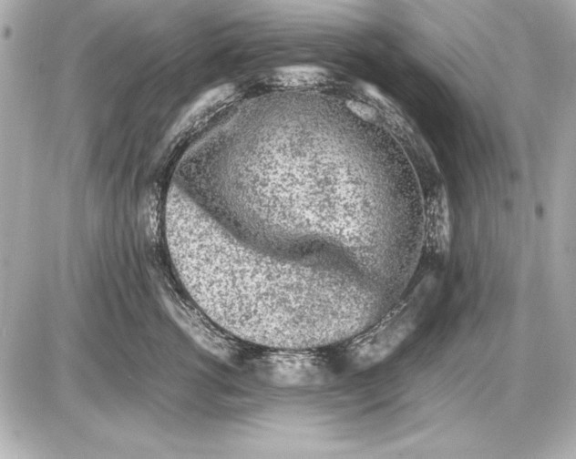 X0000085830762200704091658