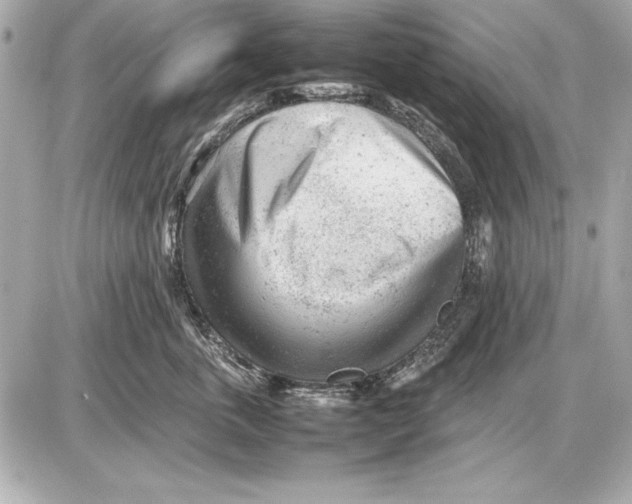 X0000085830763200704091658