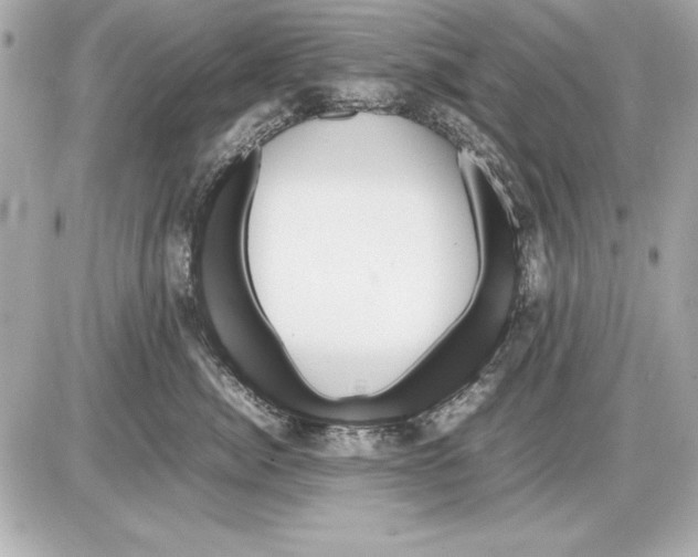 X0000085830764200704091658