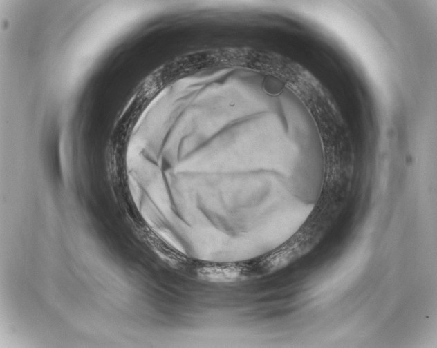 X0000085830765200704091658