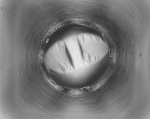 X0000085830766200704091658