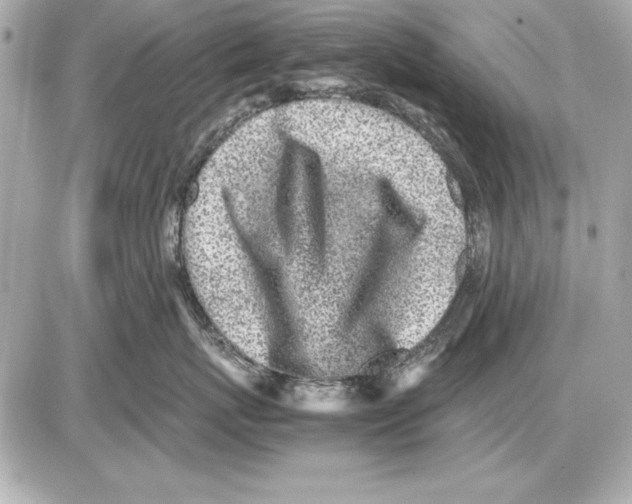 X0000085830767200704091658