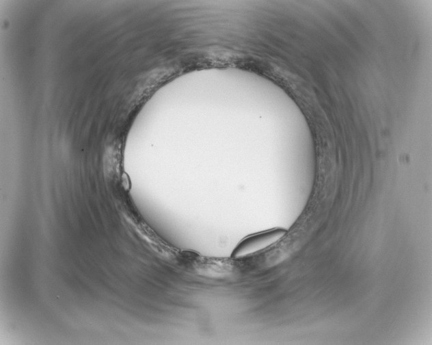 X0000085830768200704091658