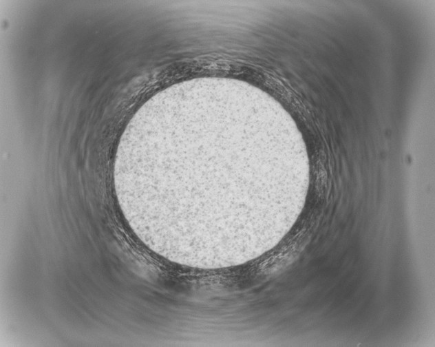 X0000085830769200704091657