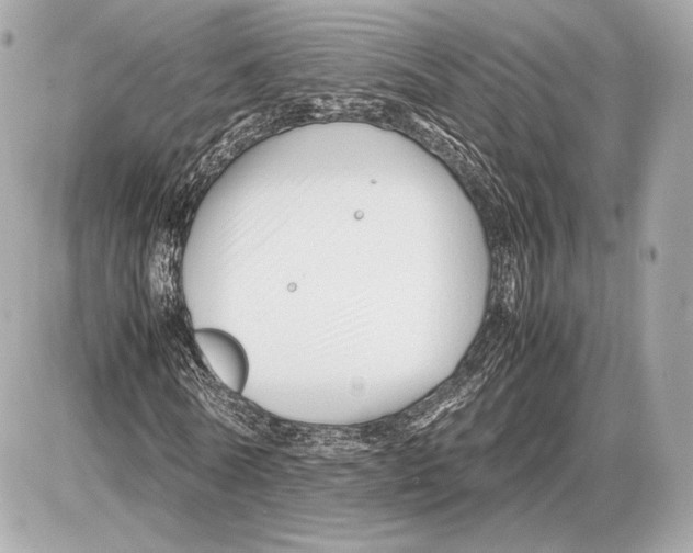 X0000085830770200704091657