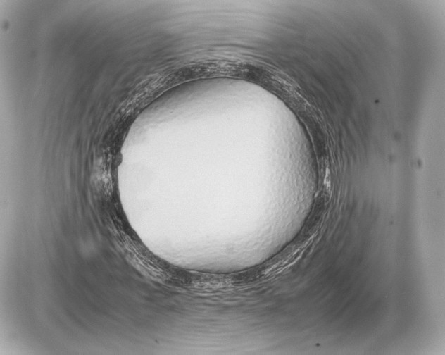 X0000085830771200704091657