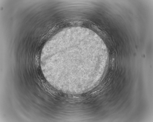 X0000085830772200704091657