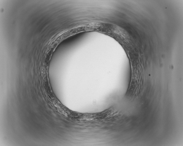 X0000085830773200704091657