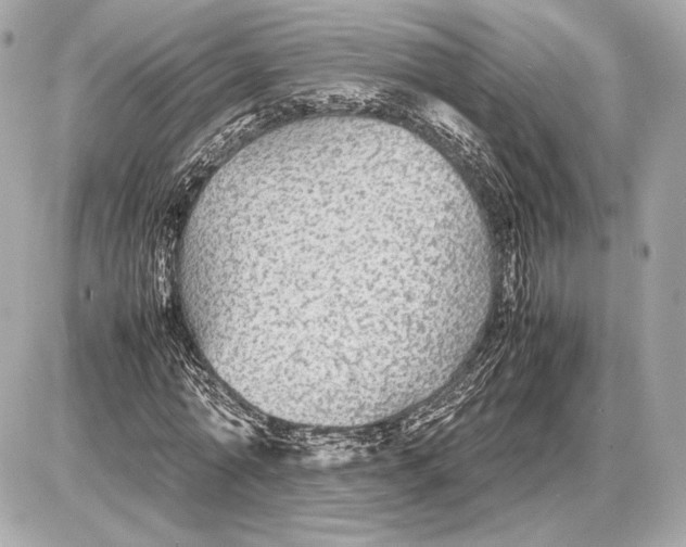 X0000085830774200704091657