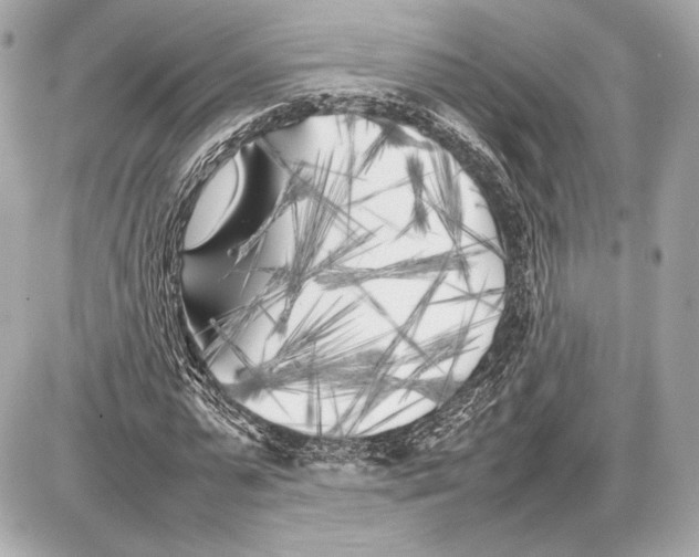 X0000085830775200704091657