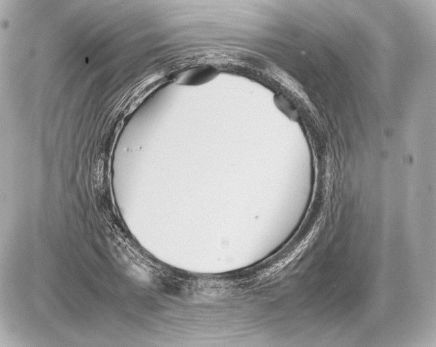 X0000085830777200704091657