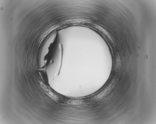 X0000085830778200704091657