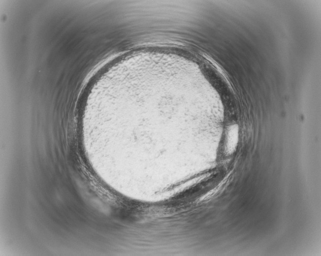 X0000085830779200704091657