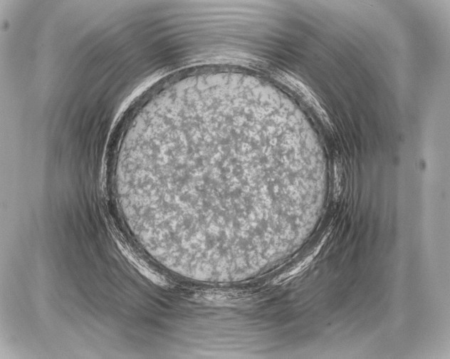 X0000085830780200704091657