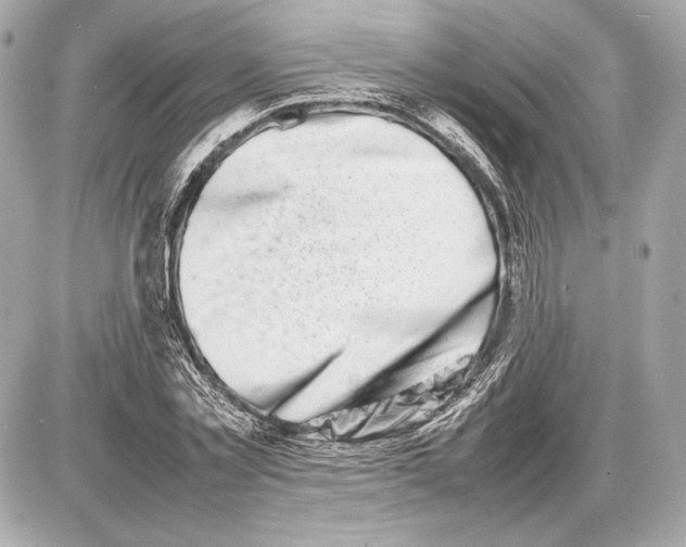 X0000085830781200704091657