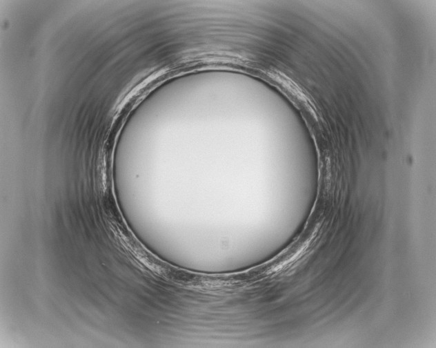 X0000085830782200704091657