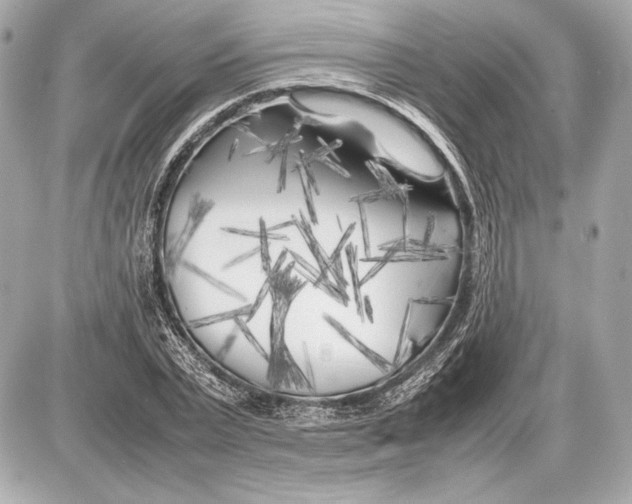 X0000085830783200704091657