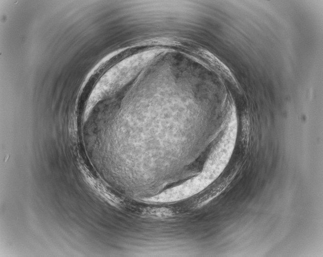 X0000085830784200704091657