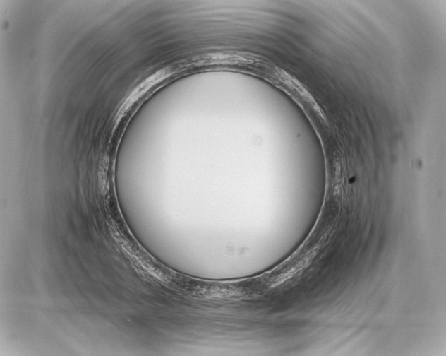 X0000085830786200704091657