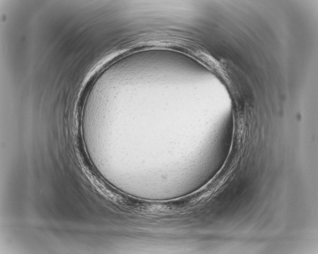 X0000085830787200704091657