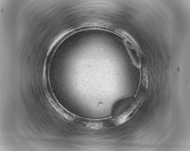 X0000085830788200704091657