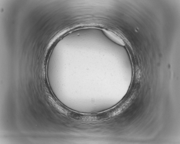 X0000085830789200704091656