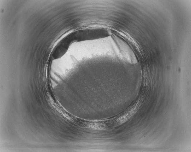 X0000085830790200704091656