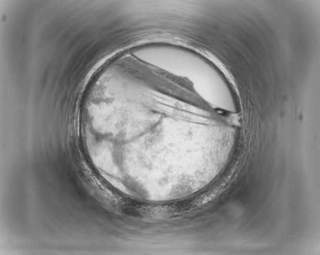 X0000085830791200704091656