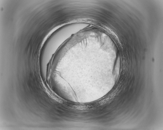 X0000085830792200704091656