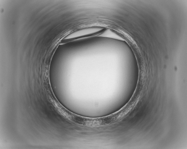 X0000085830793200704091656