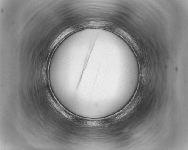 X0000085830794200704091656