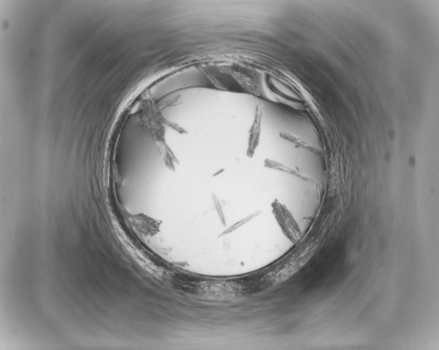 X0000085830795200704091656