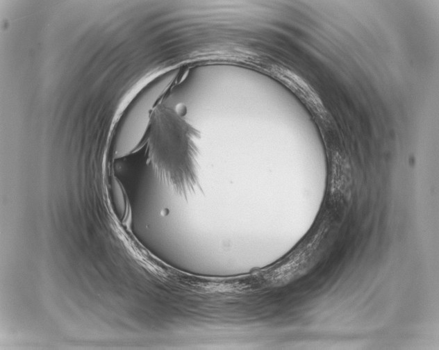 X0000085830796200704091656