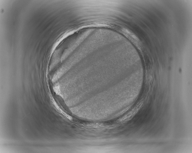 X0000085830797200704091656