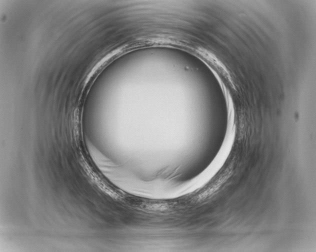 X0000085830798200704091656