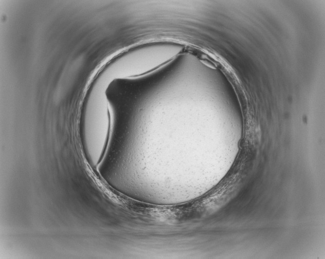 X0000085830799200704091656