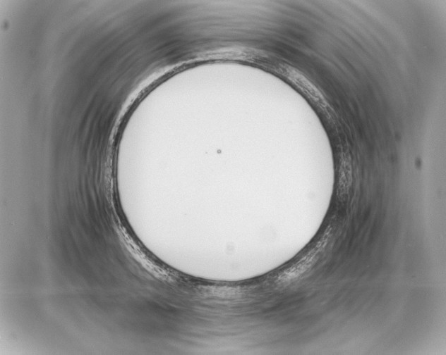 X0000085830800200704091656