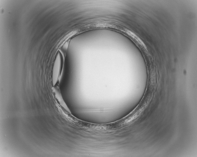 X0000085830801200704091656