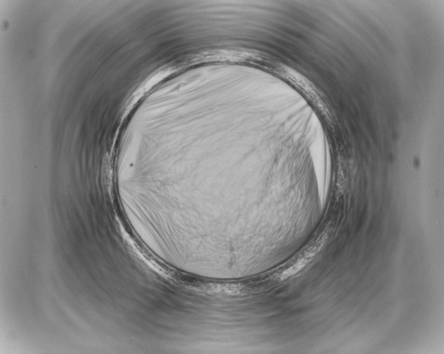 X0000085830802200704091656