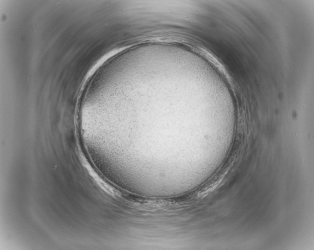 X0000085830803200704091656