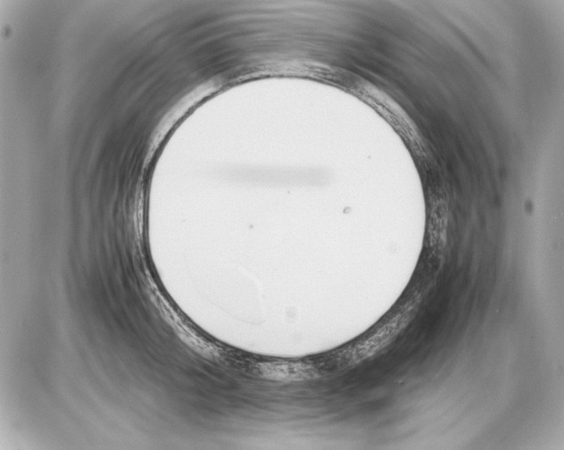 X0000085830804200704091656