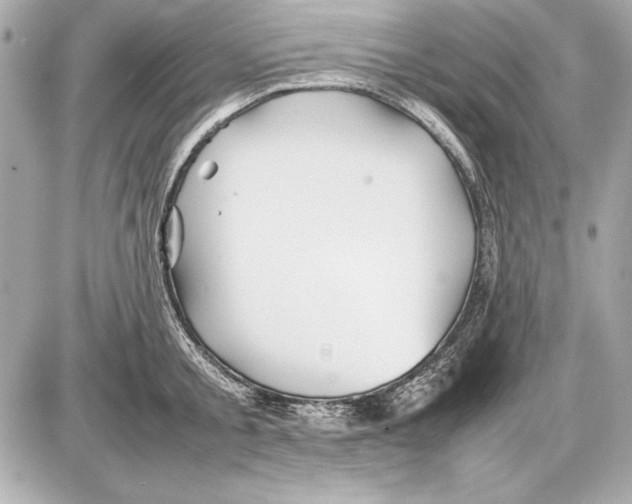 X0000085830805200704091656