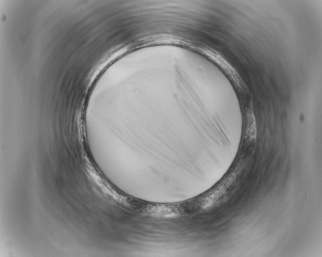 X0000085830806200704091656