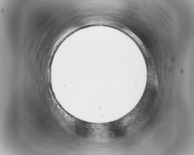 X0000085830807200704091656