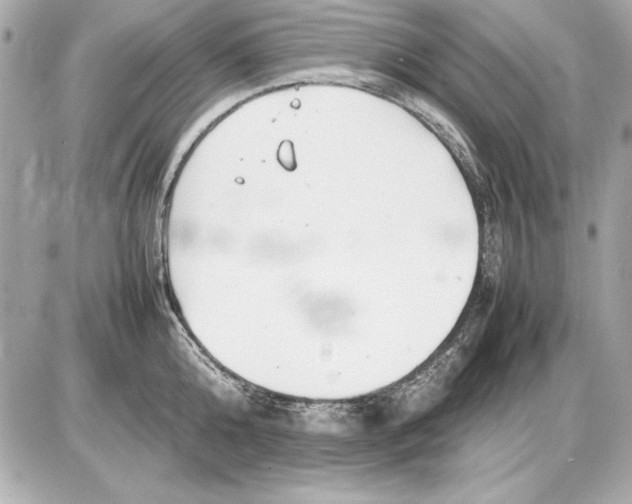 X0000085830808200704091656