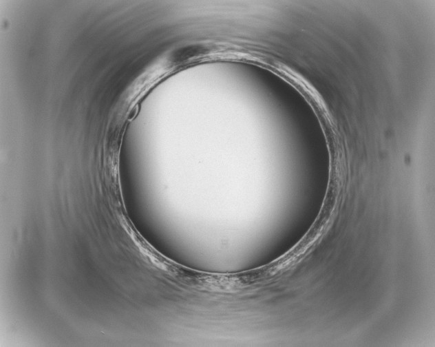 X0000085830809200704091656